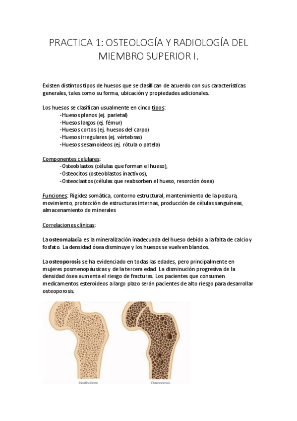 Miniatura del documento PRACTICAS-todas.pdf