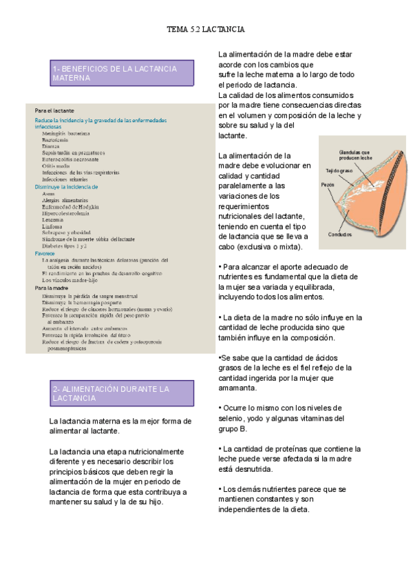 Miniatura del documento T.-5.2-LACTANCIA.pdf