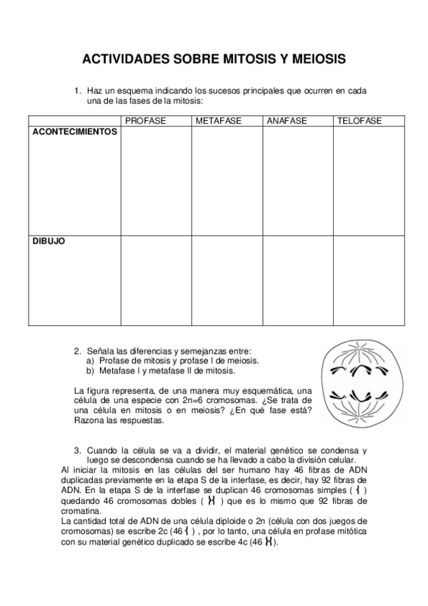 Miniatura del documento actividades-mitosis-y-meiosis-4-eso.pdf