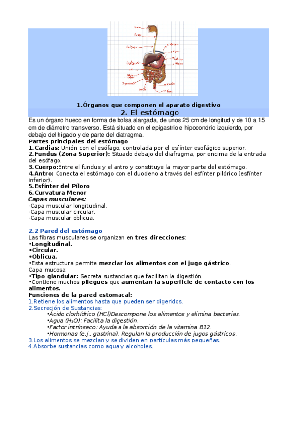 Miniatura del documento SISTEMA-DIGESTIVO.docx