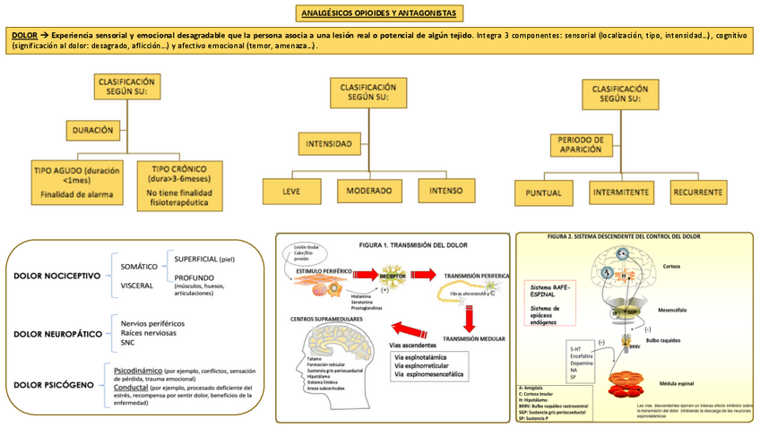 Miniatura del documento ANALGÉSICOS OPIOIDES Y ANTAGONISTAS.pdf