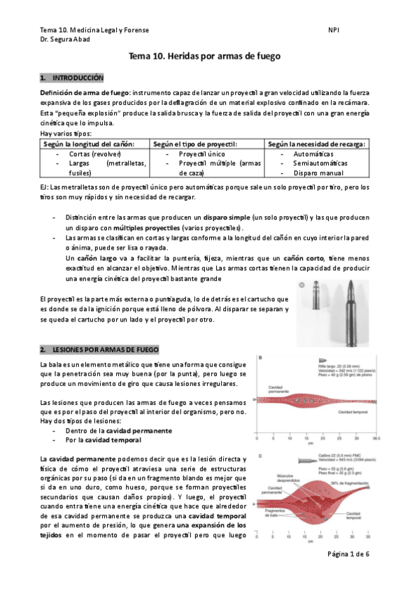 Miniatura del documento Tema-10.-Armas-de-fuego.pdf
