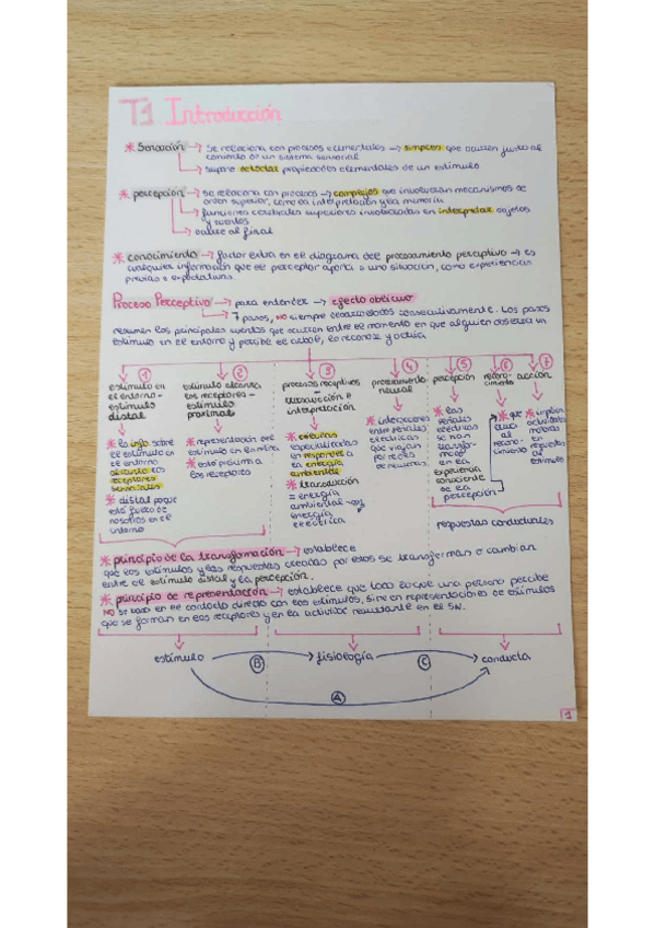 Miniatura del documento C1-AP-C3-C4-C5-C7-C8.pdf