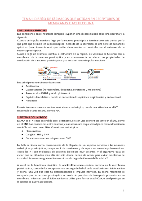 Miniatura del documento apuntes-2024-2025.pdf