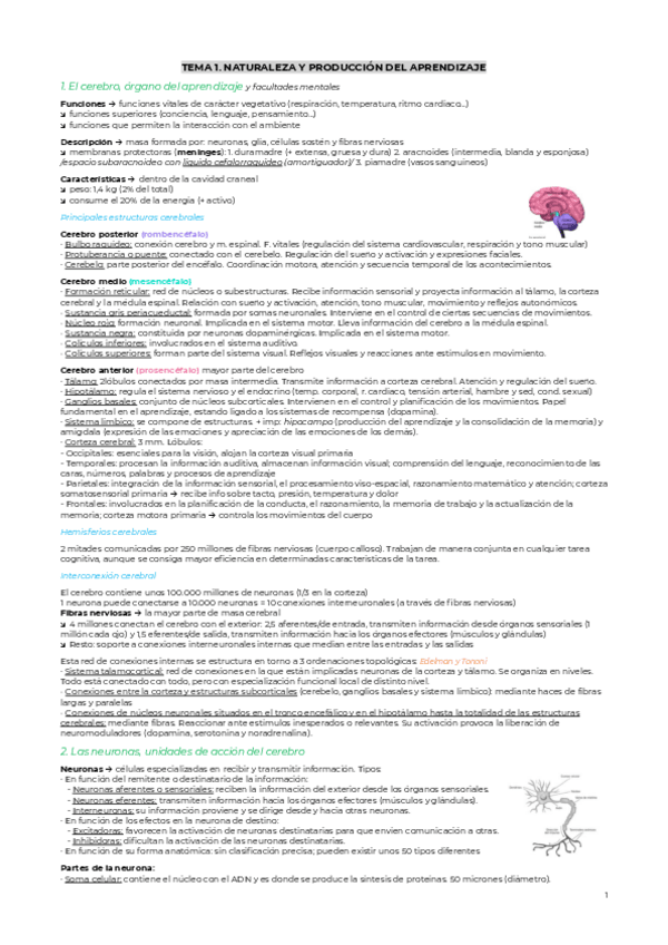 Miniatura del documento RESUMEN-ADI.pdf