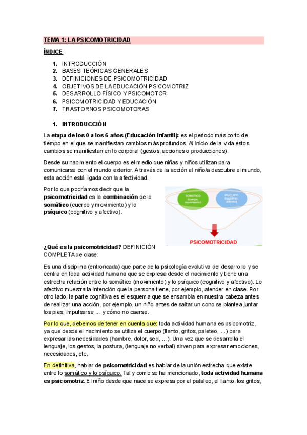 Miniatura del documento Tema-1-Psicomotricidad.pdf