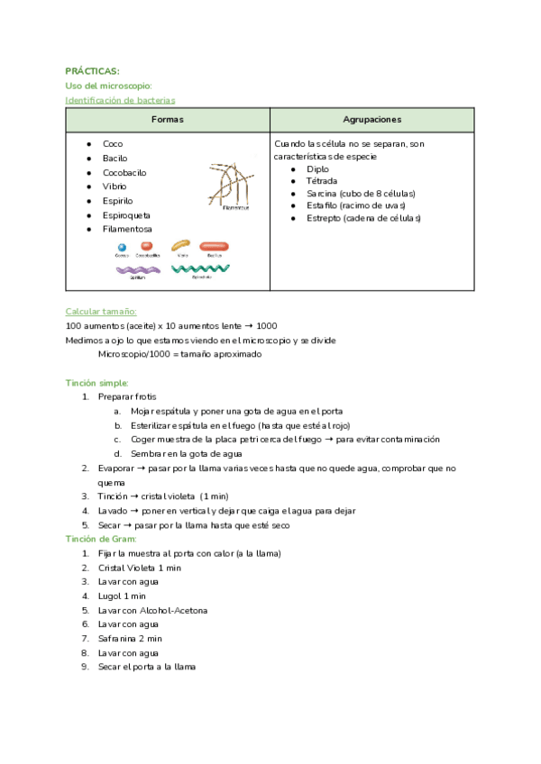 Miniatura del documento Apuntes-practicas.pdf