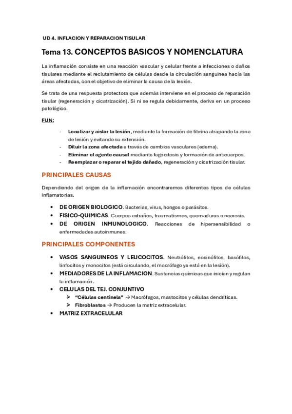 Miniatura del documento UD-4.pdf