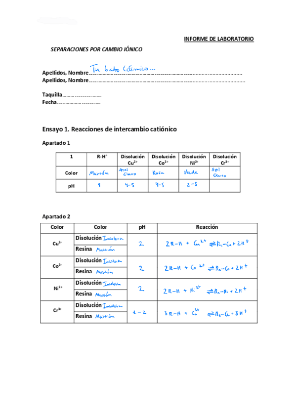 Miniatura del documento Informe-Intercambio-Ionico-RESUELTO.pdf