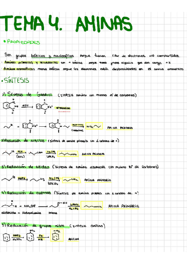 Miniatura del documento Tema-4.-Aminas.pdf