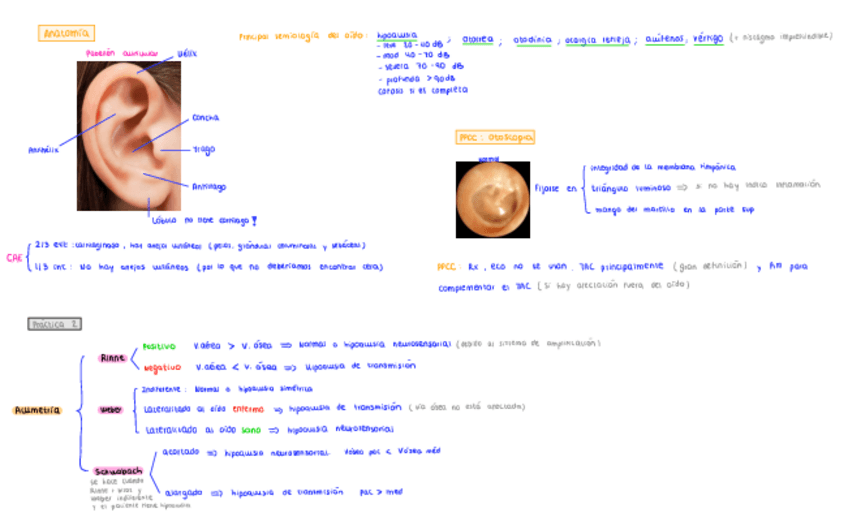 Miniatura del documento Resumen prácticas.pdf