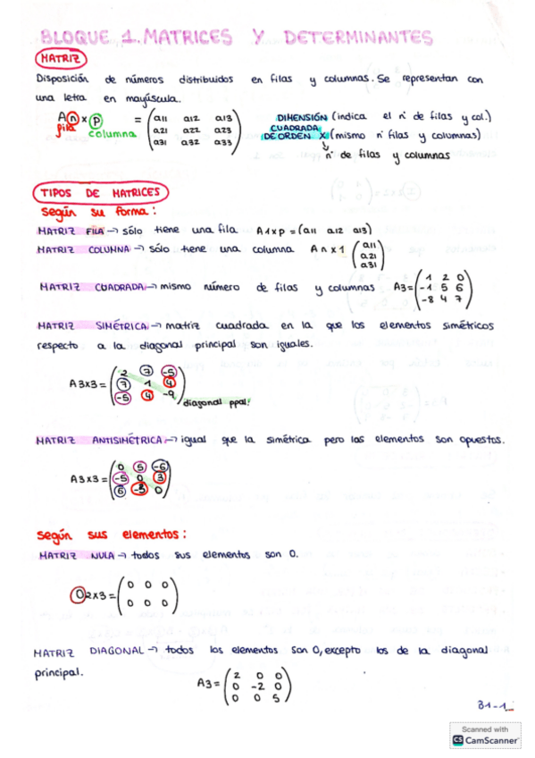 Miniatura del documento Matrices-y-Determinantes.pdf