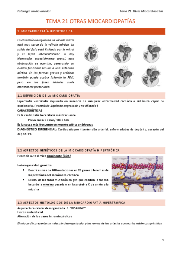 Miniatura del documento Tema-21-OTRASmiocardiopatias.pdf