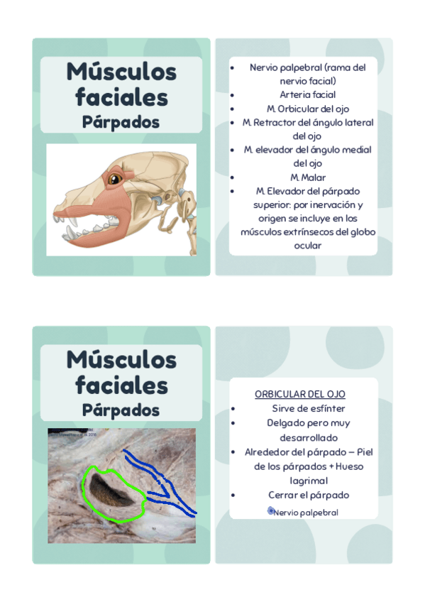 Miniatura del documento T6.-P-2.pdf