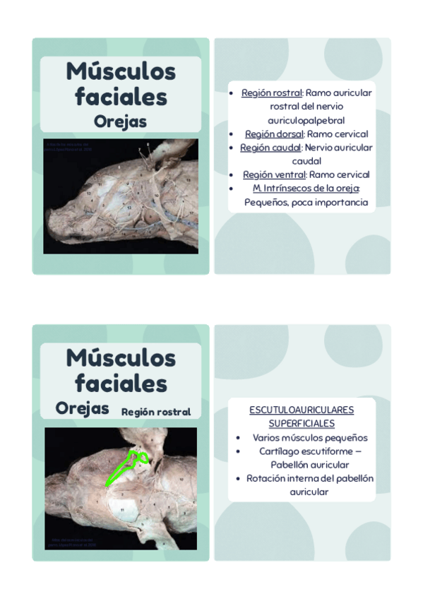 Miniatura del documento T6.-P-3.pdf