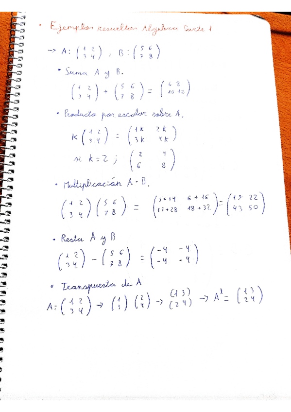 Miniatura del documento ejerciciosBasicosMatrices.pdf