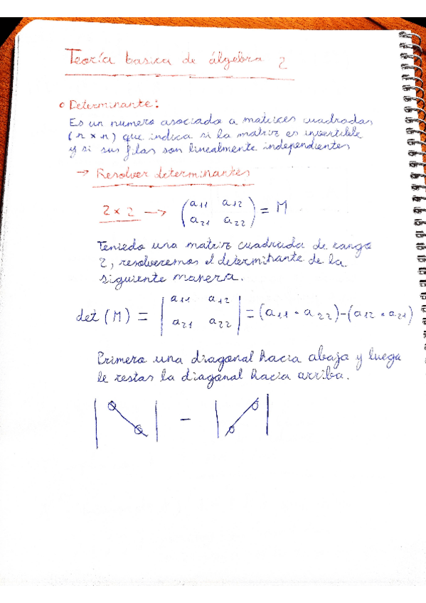 Miniatura del documento TeoriaYejerciciosDeterminantes.pdf