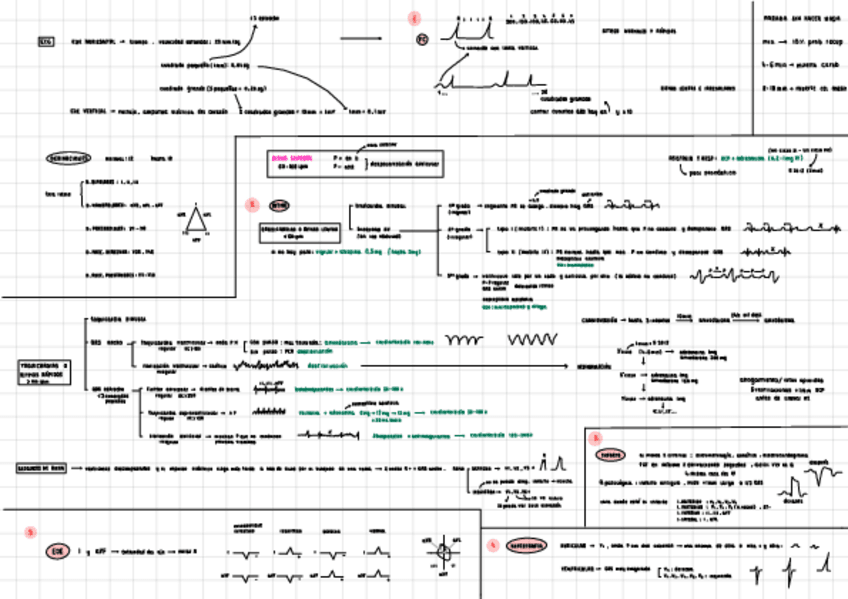 Miniatura del documento esquema-electros.pdf