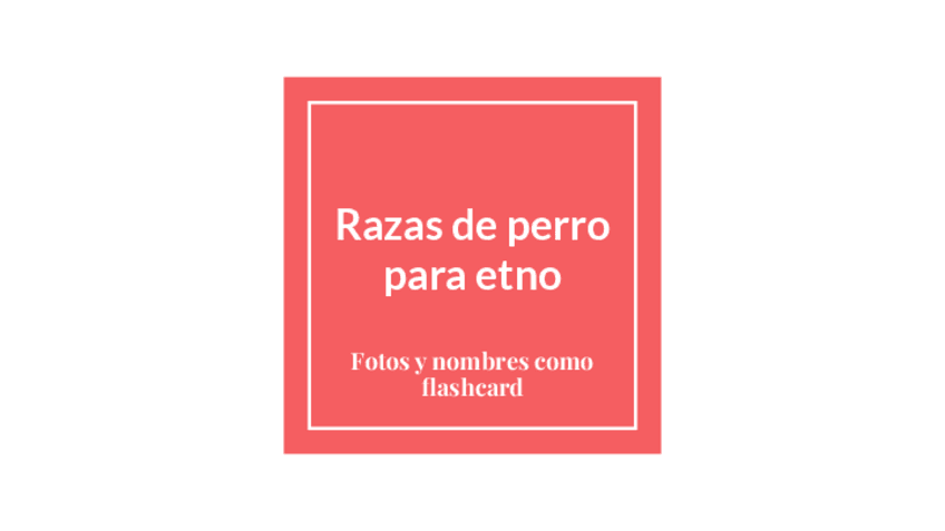 Miniatura del documento Razas-de-perros-para-etno.pptx.pdf