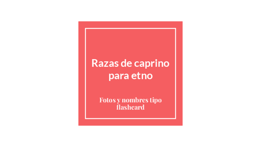 Miniatura del documento Razas-de-caprino-para-etno.pptx.pdf