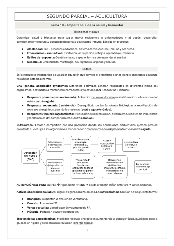 Miniatura del documento segundo-parcial.pdf