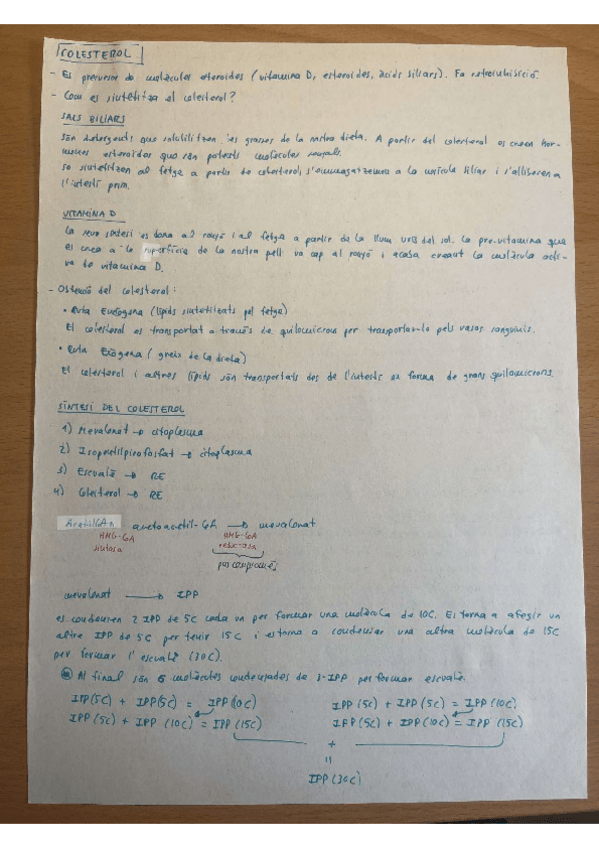 Miniatura del documento apunts-colesterol.pdf