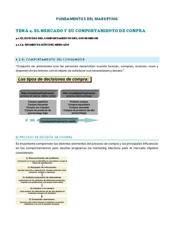 Miniatura del documento APUNTES-TEORIA-MARKETING.pdf
