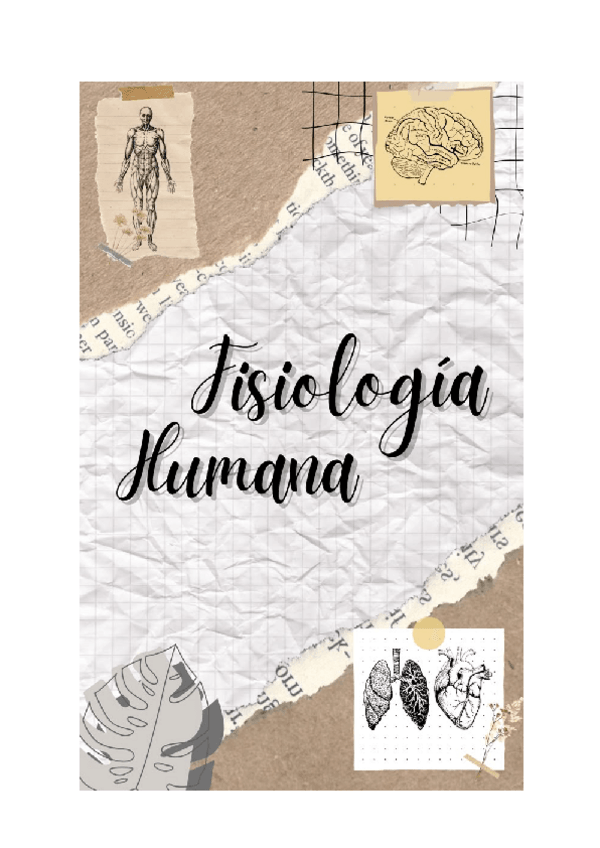 Miniatura del documento Sistema-Nervioso, Sangre, Cardiovascular.pdf