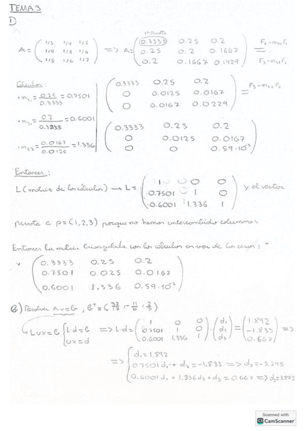 Miniatura del documento EJS-TEMA-3.pdf