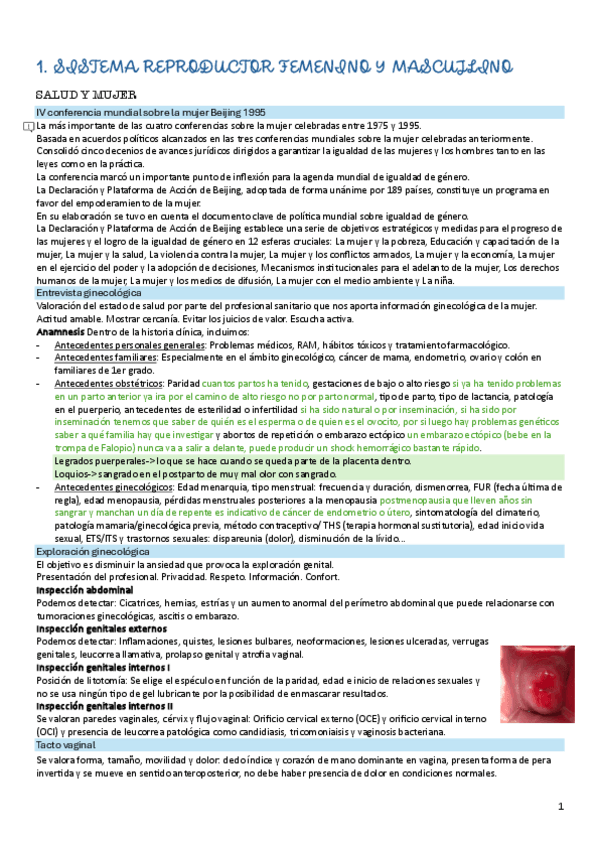 Miniatura del documento apt-materno-1.pdf
