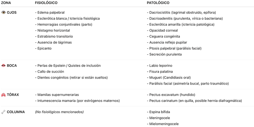 Miniatura del documento tabla-ev-neonatos.png