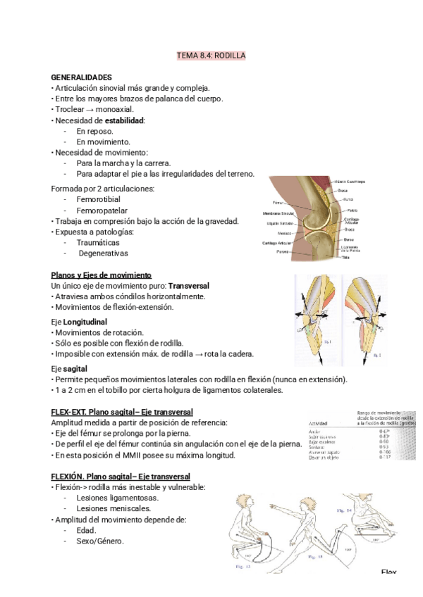 Miniatura del documento TEMA-8.4-biomecanica.pdf