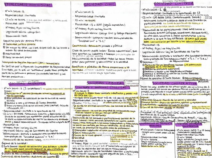 Miniatura del documento Tipos-de-empresas-segun-su-forma-juridica.pdf