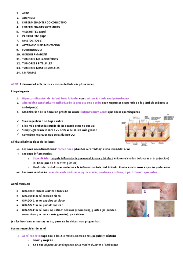 Miniatura del documento DERMATOLOGIA-2-PARTE.pdf