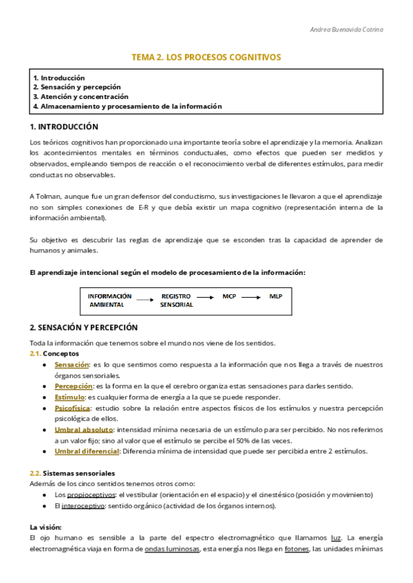 Miniatura del documento TEMA-2.-LOS-PROCESOS-COGNITIVOS.pdf