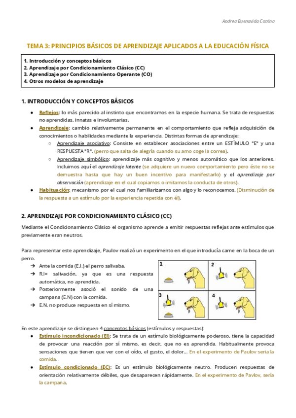 Miniatura del documento TEMA-3.-PRINCIPIOS-BASICOS-DE-APRENDIZAJE-APLICADOS-A-LA-EDUCACION-FISICA.pdf