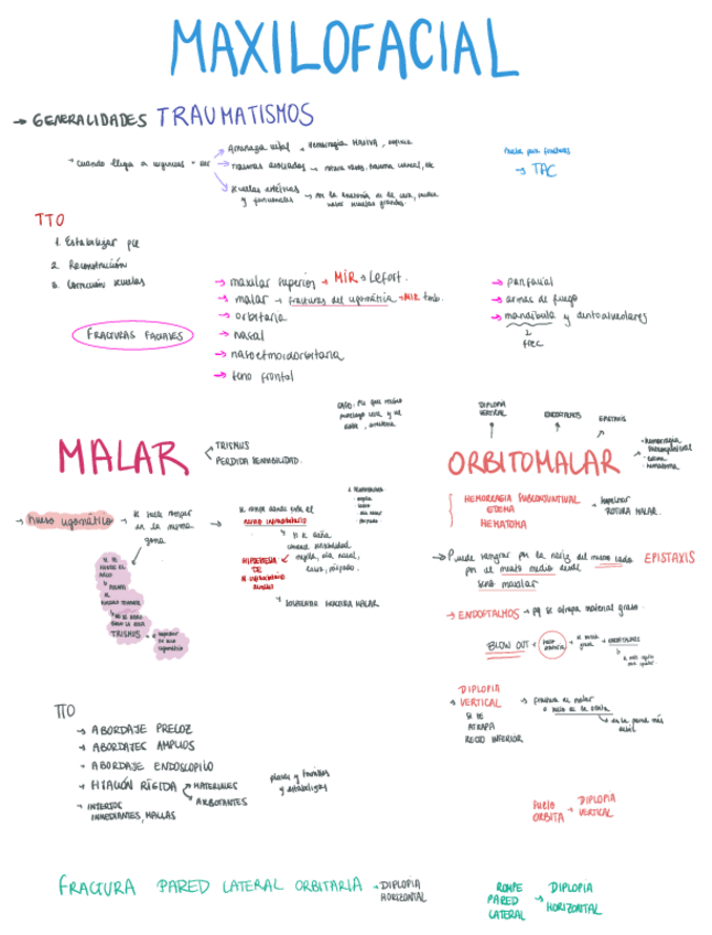 Miniatura del documento MAXILOFACIAL-TODO-CLASE.pdf