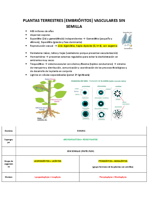 Miniatura del documento P.T.V.-SIN-SEMILLA.pdf