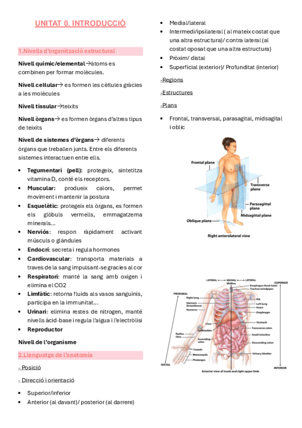 Miniatura del documento Anatomia-unitat-0.pdf