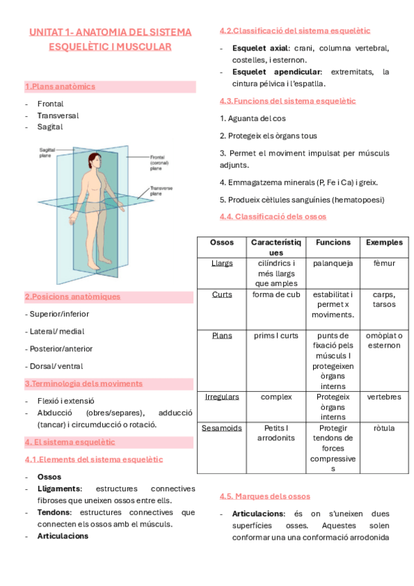 Miniatura del documento Anatomia-Unitat-1.pdf