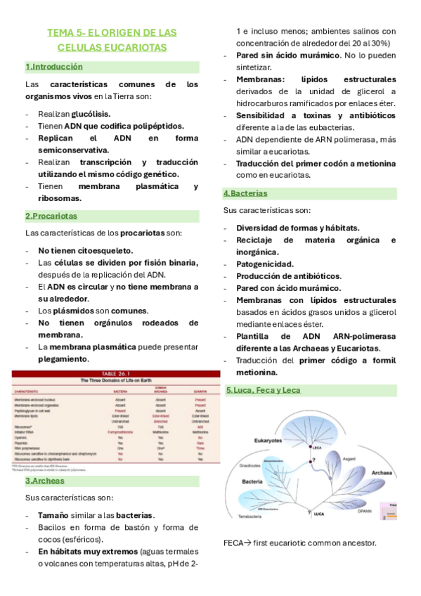 Miniatura del documento Biologia-unidad-5-el-origen-de-las-celulas-eucariotas.pdf