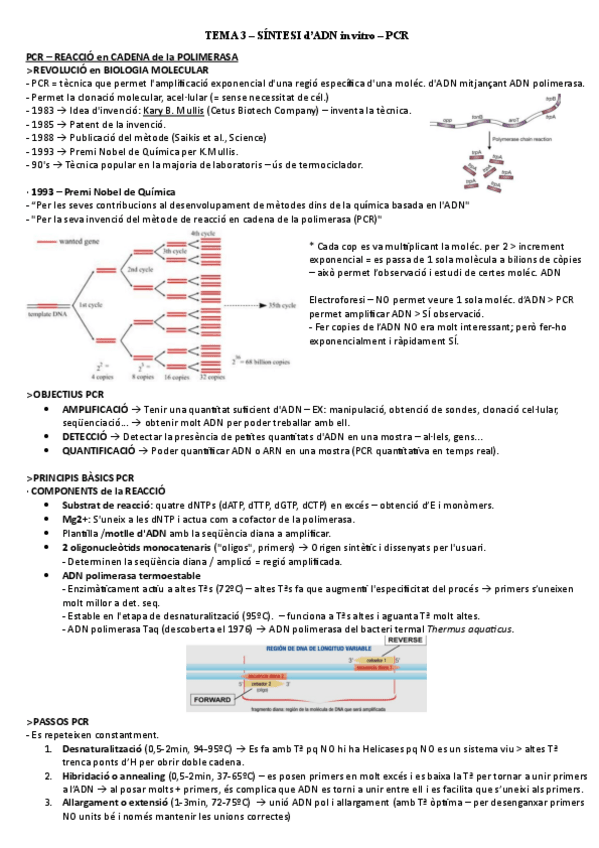 Miniatura del documento TEMA-3.pdf
