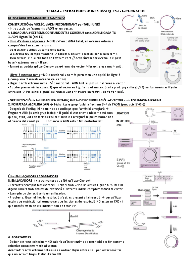 Miniatura del documento TEMA-4.pdf