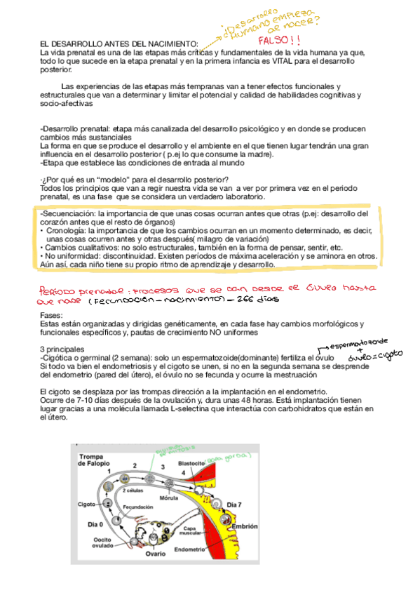 Miniatura del documento Desarrollo-I.pdf