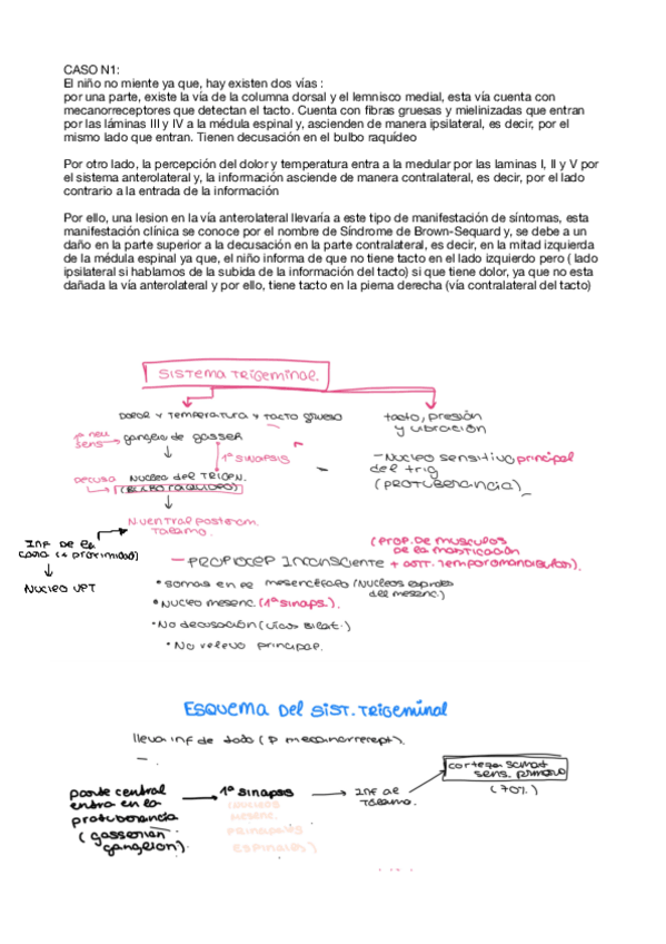 Miniatura del documento Neuro-apuntes-t2.pdf