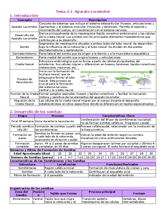 Miniatura del documento T-2.1-Aparato-Locomotor.docx
