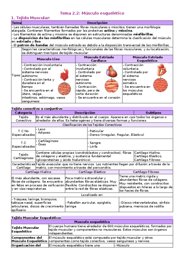 Miniatura del documento T-2.2-Musculo-esqueletico.docx