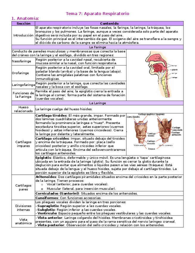 Miniatura del documento T7-Aparato-Respiratorio.docx