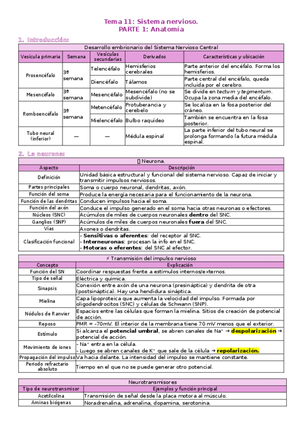 Miniatura del documento T11-Sistema-nervioso..docx