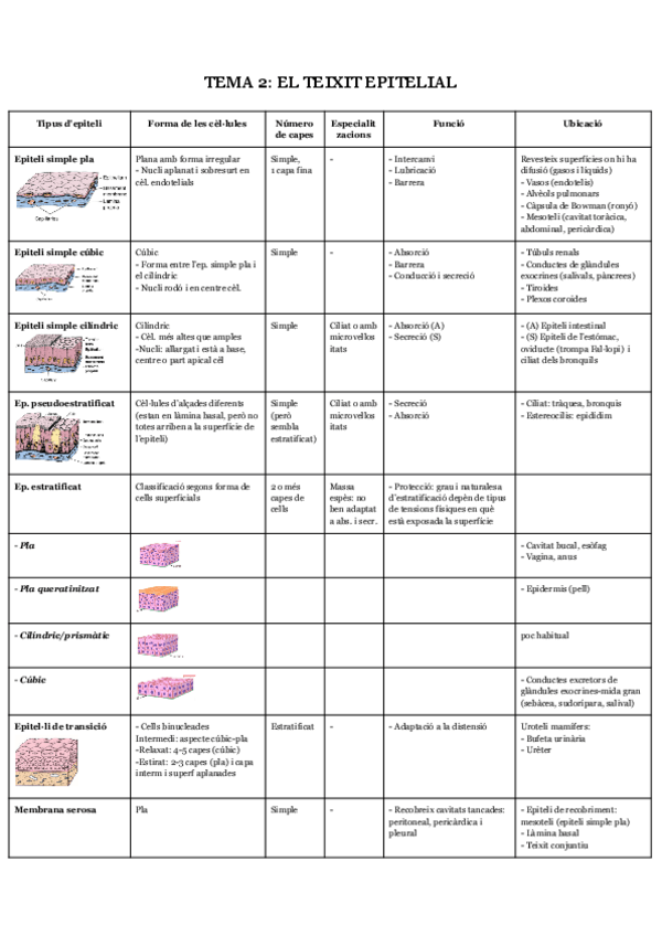 Miniatura del documento T2-Teixit-epitelial.pdf